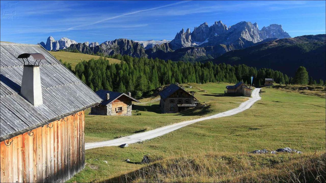 Monza Dolomites Hotel Moena Buitenkant foto